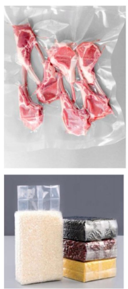 1100 Vacuum Packing Machine